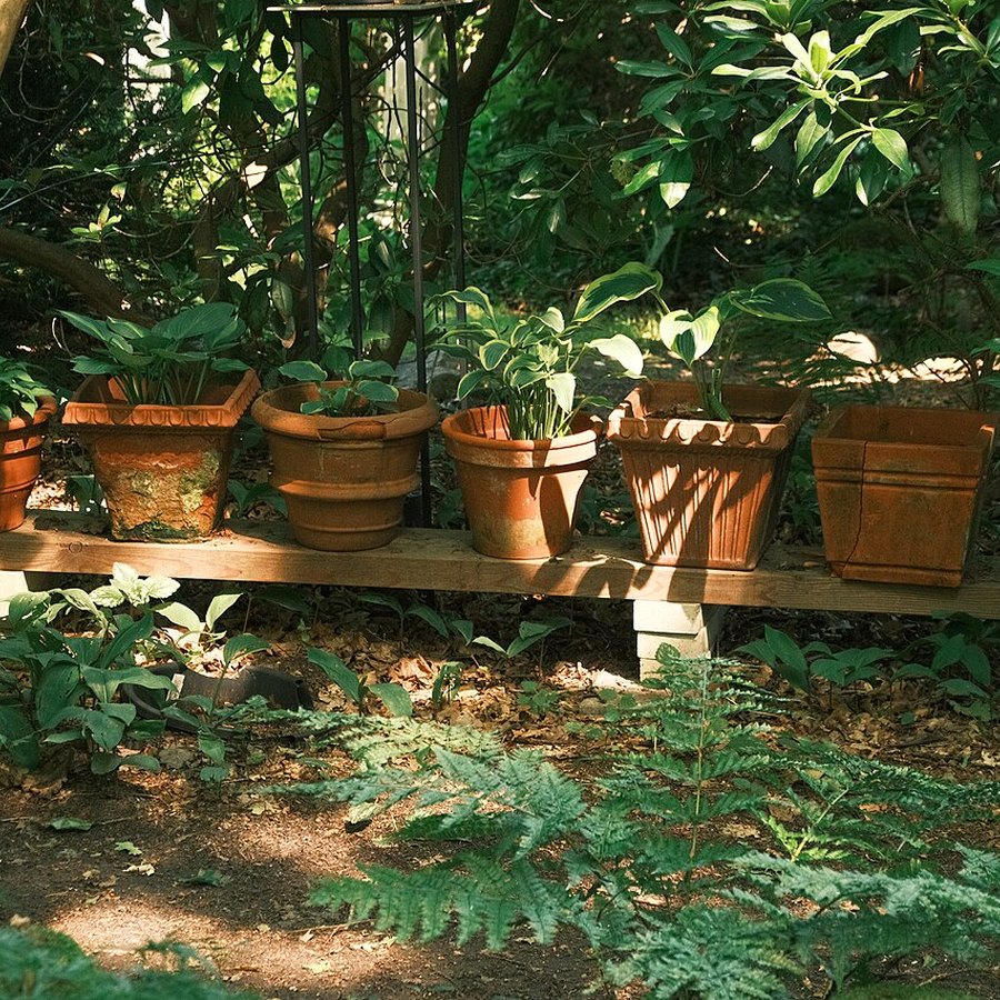 Maceta de barro N°14
